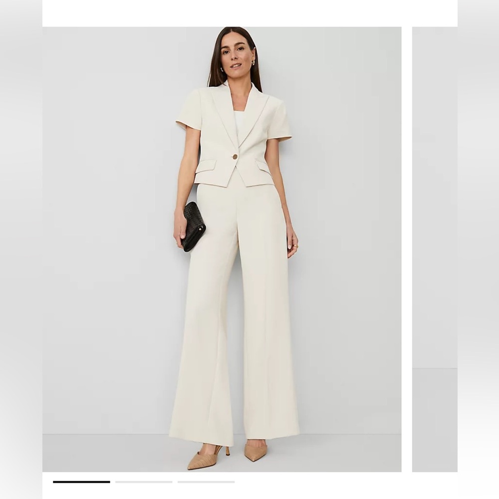 NWT Ann Taylor Side Zip Wide Leg Pant in Fluid Crepe, sz 12